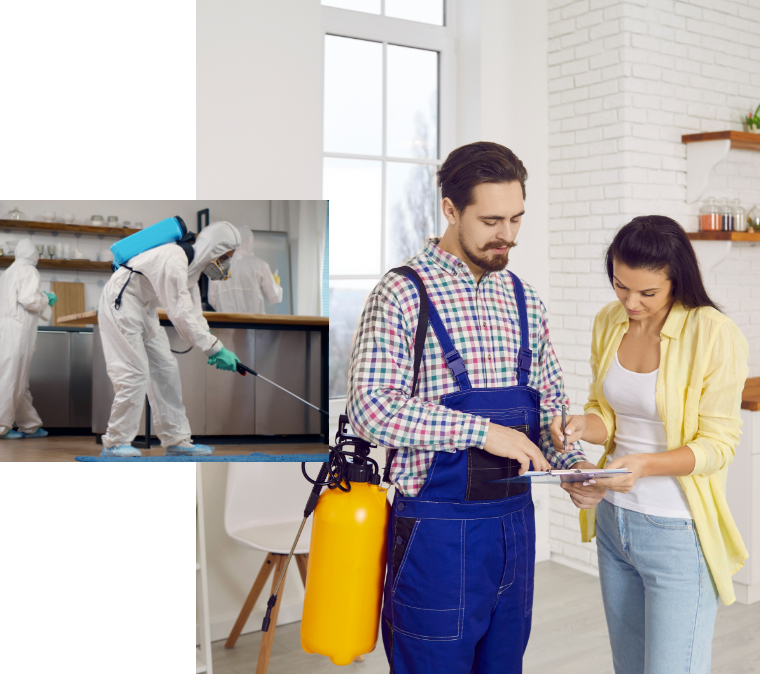 PEST CONTROL SERVICES: PROTECTING YOUR HOME AND BUSINESS YEAR-ROUND